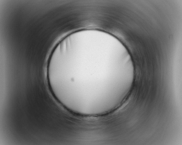 X0000095911424200802081044