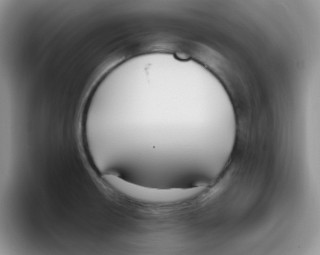 X0000095911426200802081044