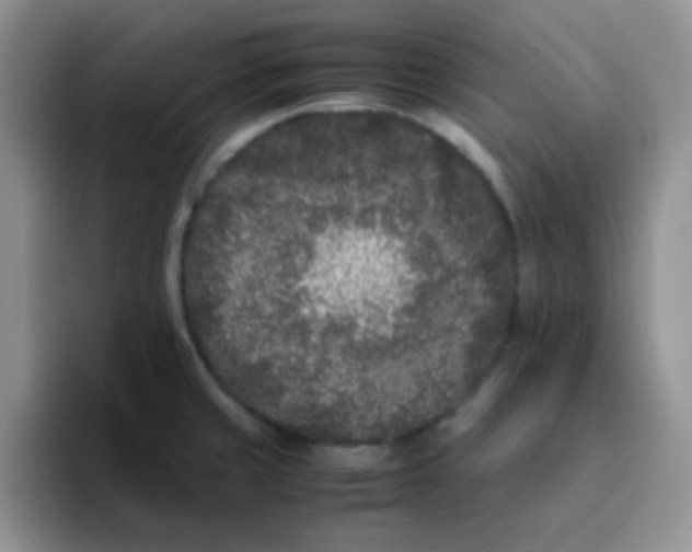 X0000095911429200802081044