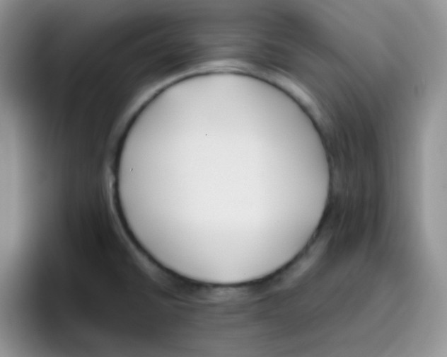 X0000095911430200802081044