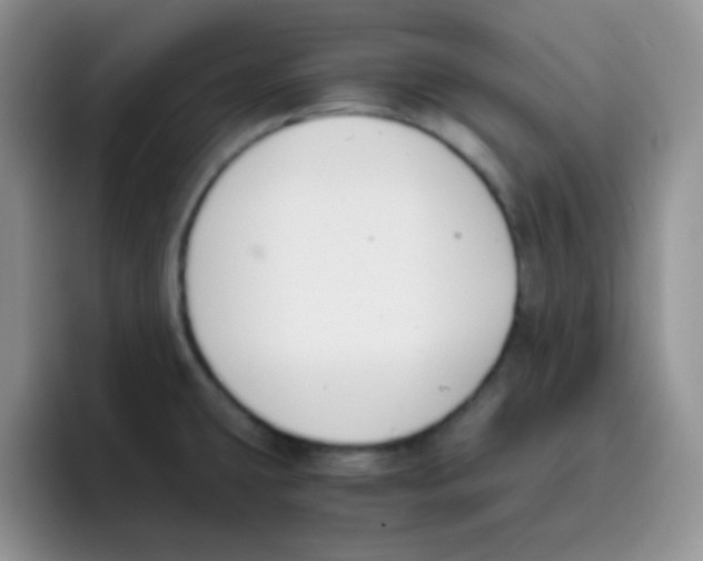 X0000095911431200802081044