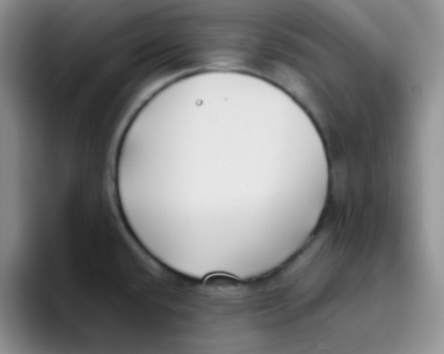 X0000095911432200802081044