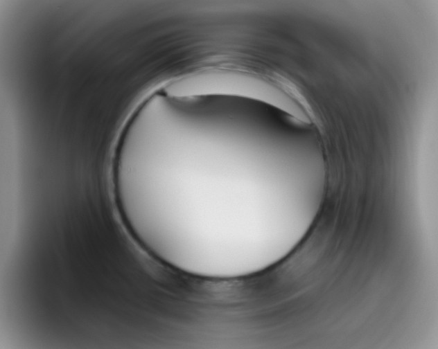 X0000095911434200802081044