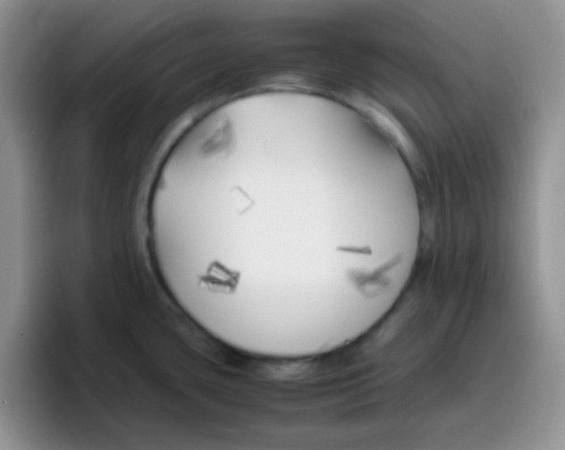 X0000095911435200802081044