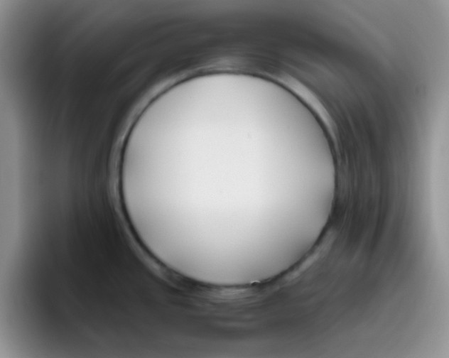 X0000095911437200802081044