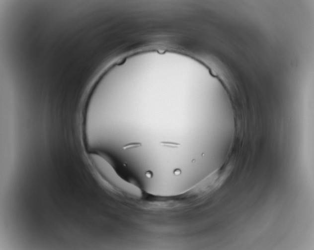 X0000095911438200802081044