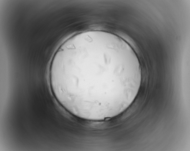 X0000095911439200802081044