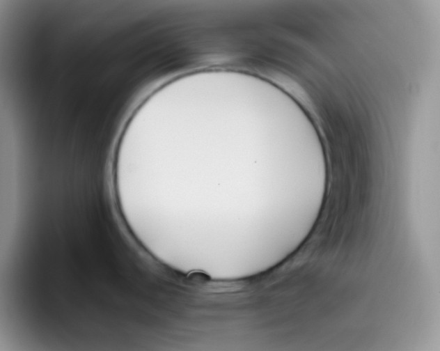 X0000095911440200802081044