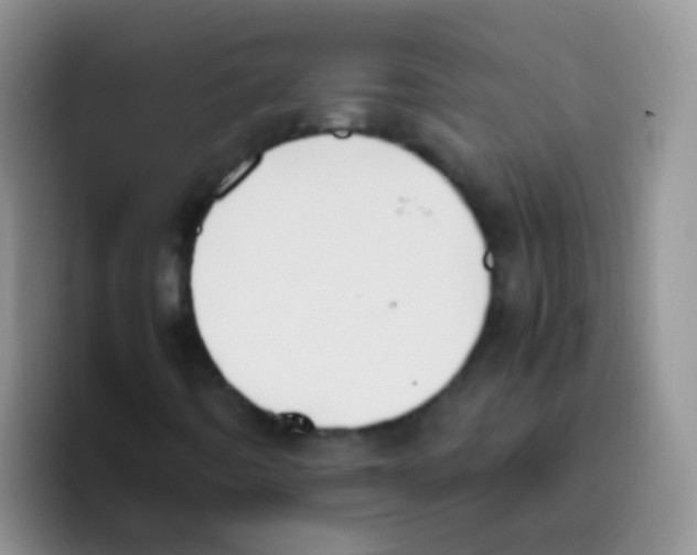 X0000095911442200802081043