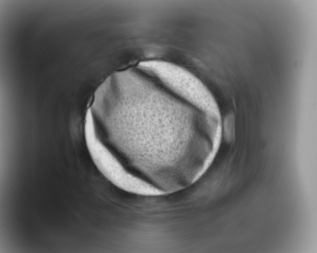 X0000095911443200802081043