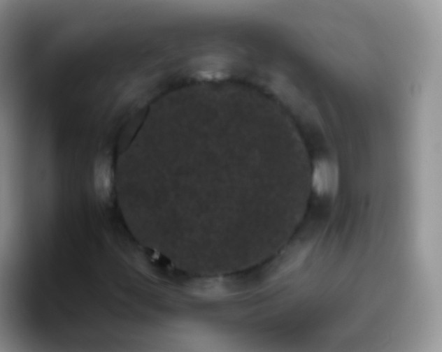 X0000095911444200802081043