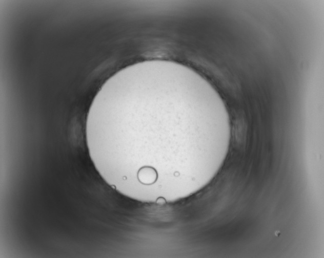 X0000095911446200802081043