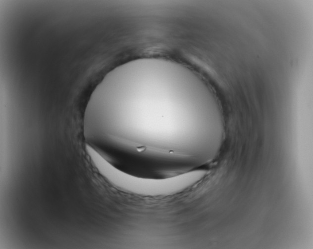 X0000095911447200802081043