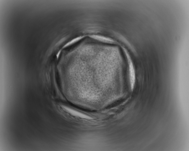 X0000095911448200802081043