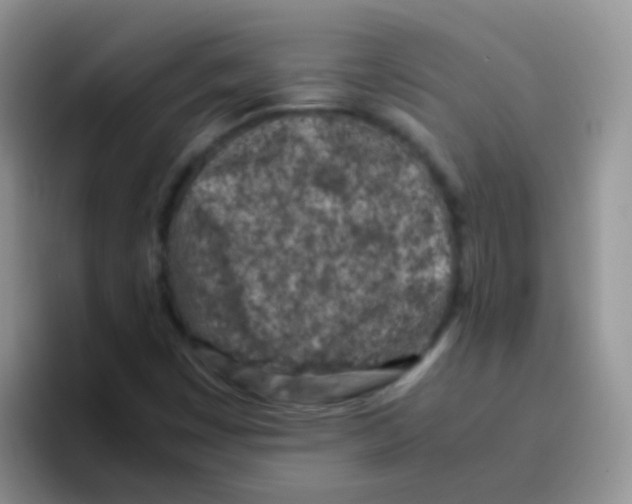 X0000095911449200802081043