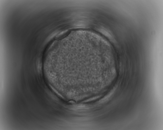 X0000095911450200802081043