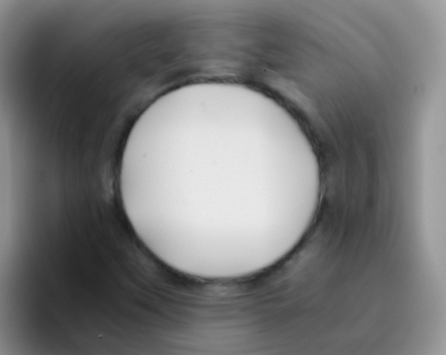 X0000095911451200802081043