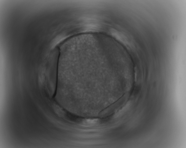 X0000095911453200802081043