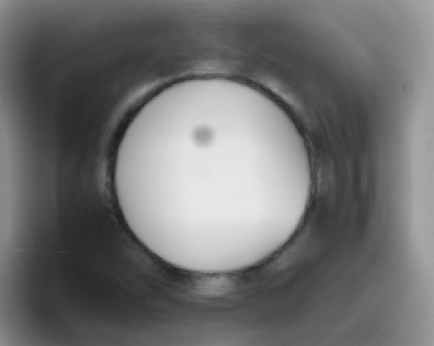 X0000095911454200802081043