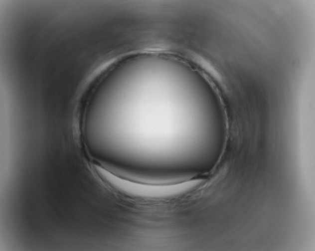 X0000095911456200802081043