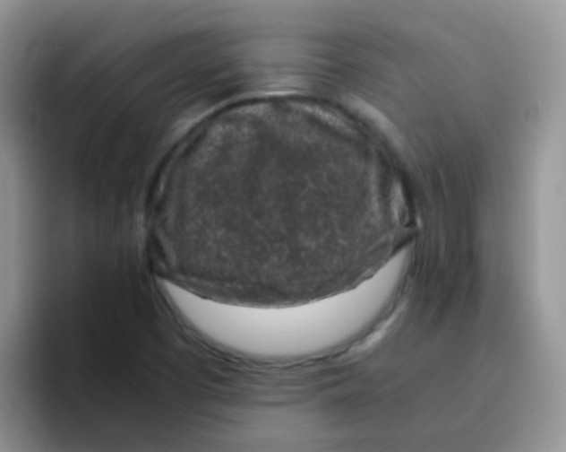 X0000095911457200802081043