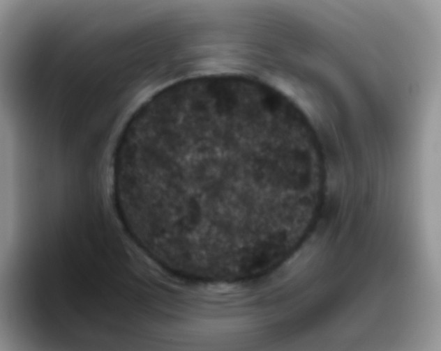 X0000095911459200802081043