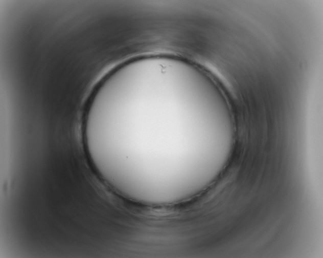 X0000095911460200802081043