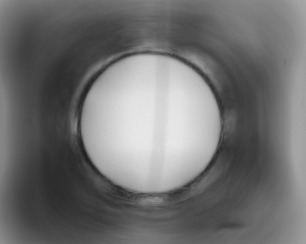 X0000095911462200802081043