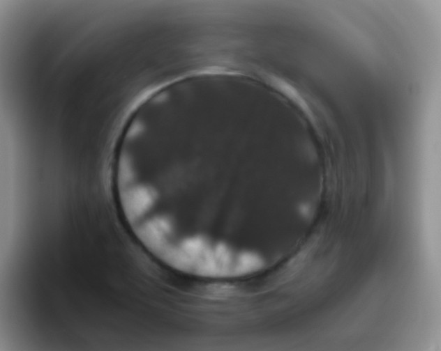 X0000095911463200802081043