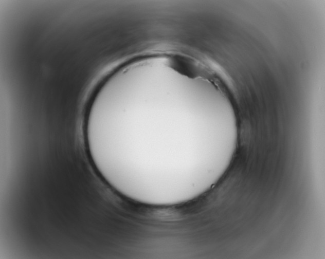 X0000095911464200802081043