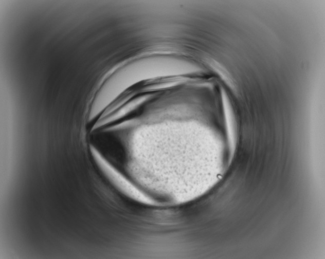 X0000095911465200802081043