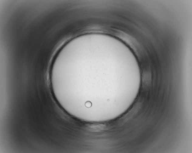 X0000095911466200802081043