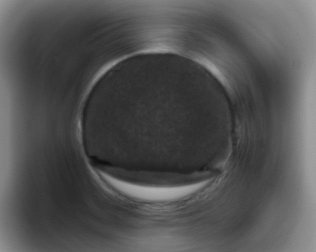 X0000095911468200802081043