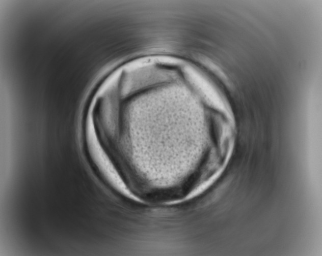 X0000095911469200802081043