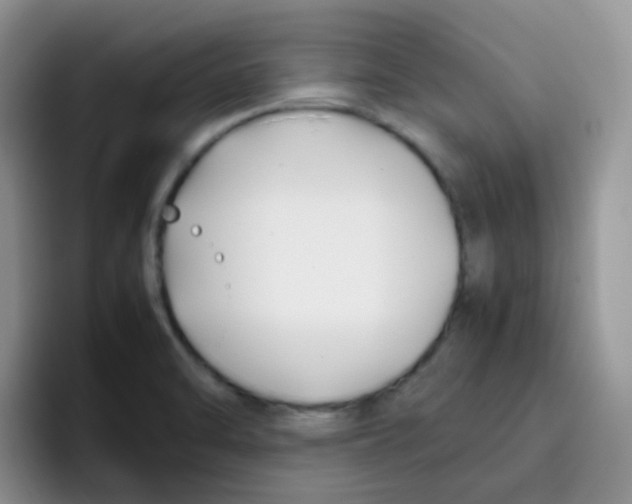 X0000095911470200802081043