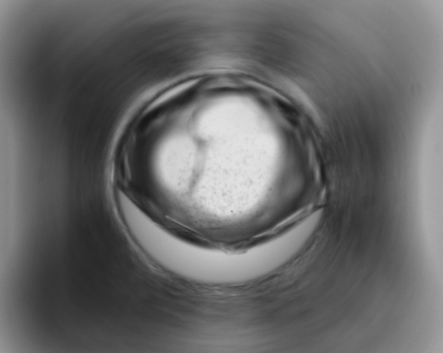 X0000095911472200802081043