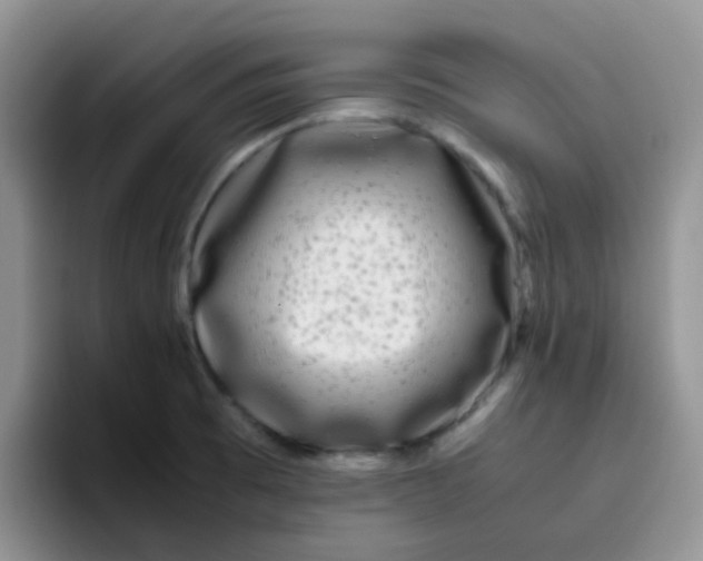 X0000095911473200802081043