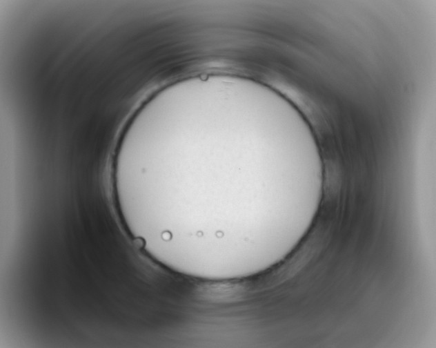 X0000095911474200802081043