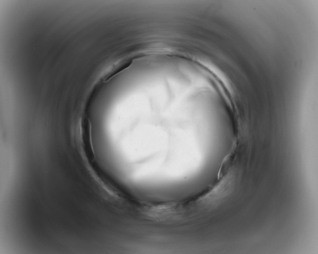 X0000095911477200802081043