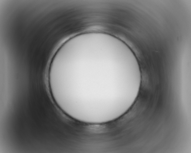 X0000095911478200802081043