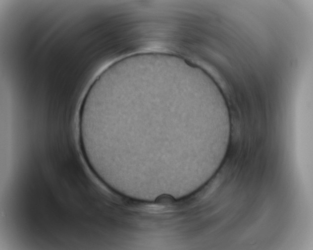 X0000095911479200802081043