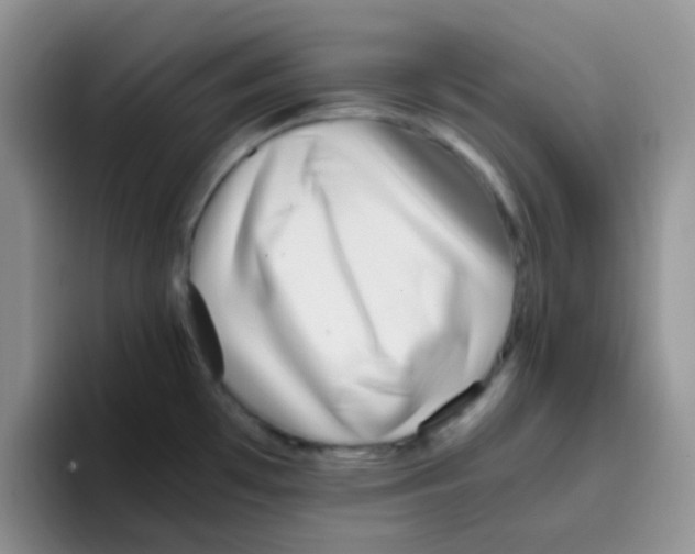 X0000095911481200802081042