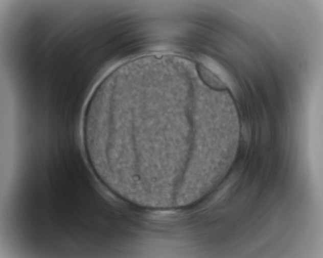 X0000095911482200802081042