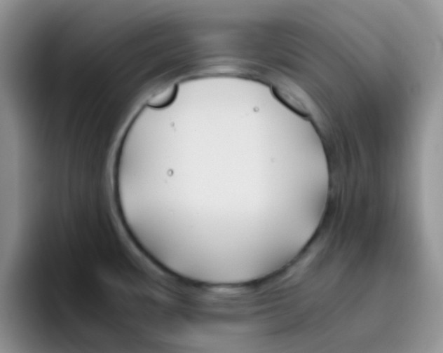 X0000095911483200802081042