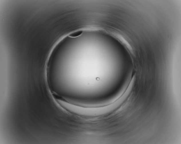 X0000095911484200802081042