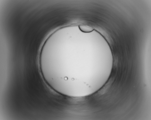 X0000095911486200802081042