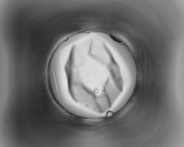 X0000095911487200802081042