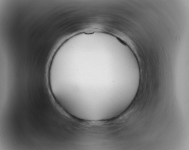 X0000095911488200802081042