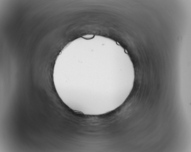 X0000095911489200802081042