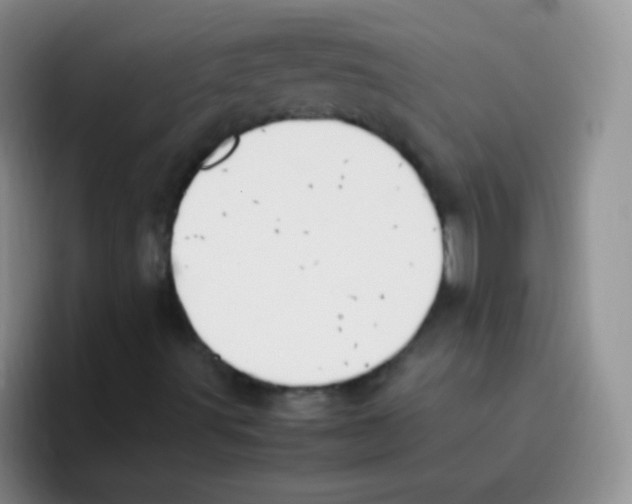 X0000095911491200802081042